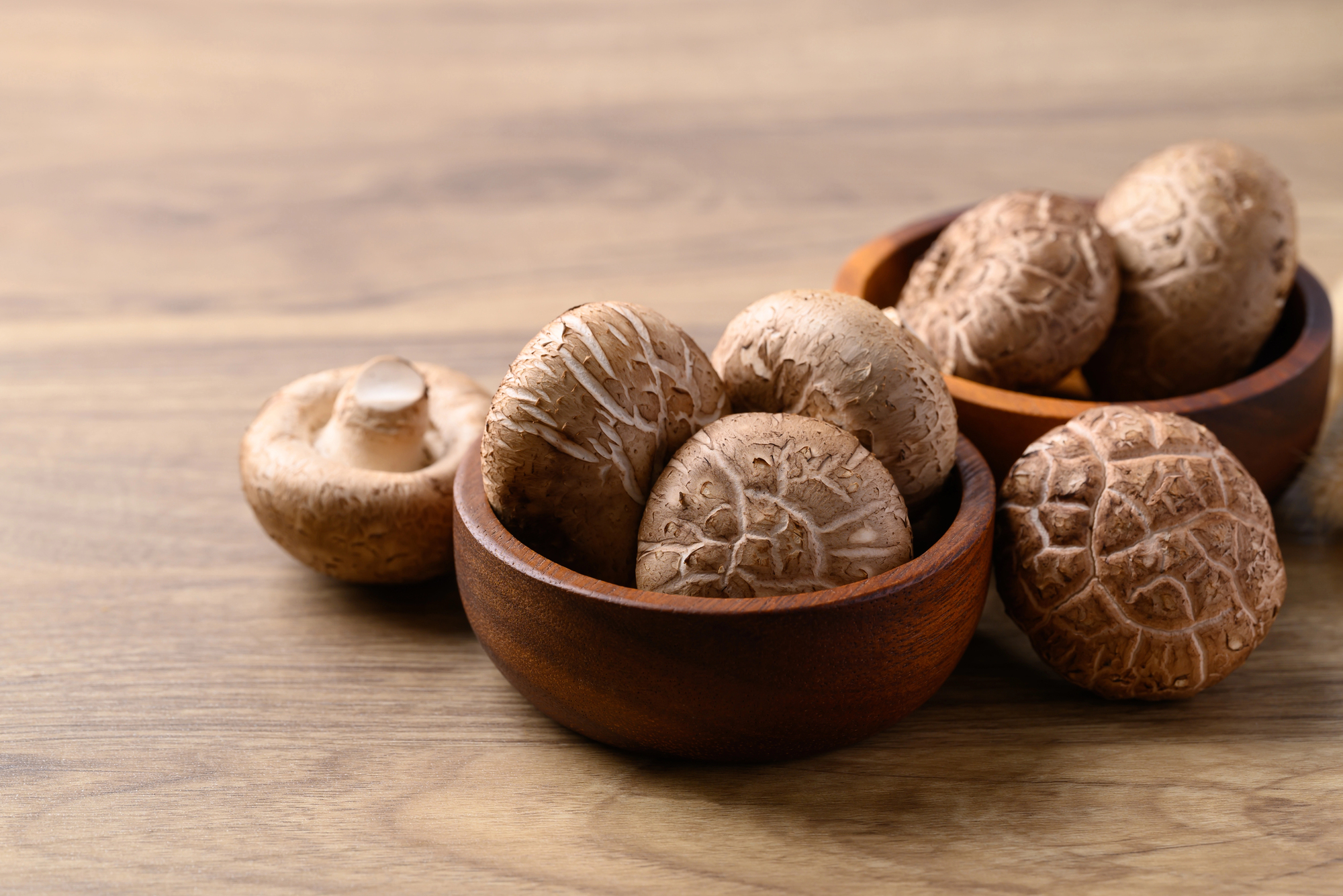 découvrez comment laver les champignons shiitake sans les abîmer et préparez-les pour vos plats préférés grâce à nos astuces simples et rapides